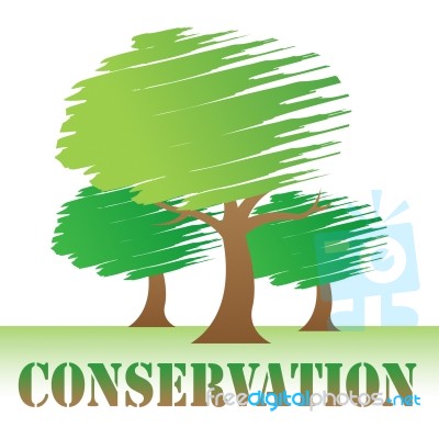 Conservation Trees Indicates Go Green And Eco Stock Image