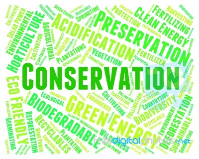 Conservation Word Indicates Earth Friendly And Conserving Stock Image