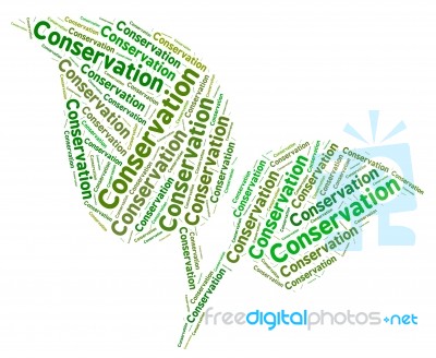 Conservation Word Represents Eco Friendly And Ecology Stock Image