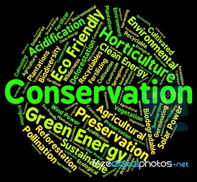 Conservation Word Shows Earth Friendly And Conserving Stock Image