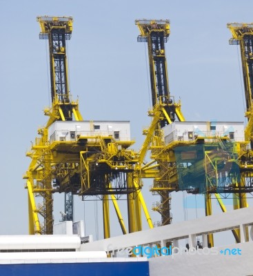 Container Cranes In Port Or Dock Stock Photo