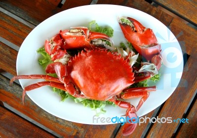 Cooked Crab Stock Photo