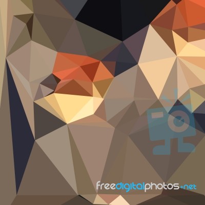 Cool Black Blue Brown Abstract Low Polygon Background Stock Image