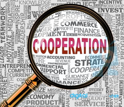 Cooperation Magnifier Indicates Team Work And Collaborate Stock Image