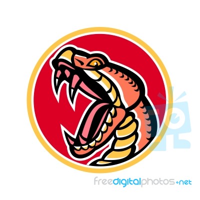 Copperhead Snake Mascot Stock Image