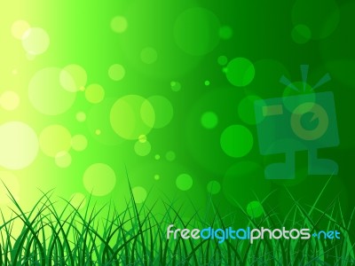 Copyspace Background Represents Green Grass And Backgrounds Stock Image