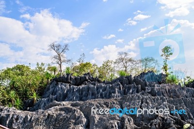 Coral Park Mountain, Doi Phaklong National Park Stock Photo