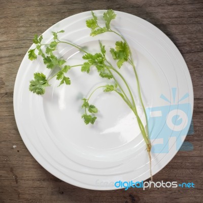 Coriander In White Ceramic Dish On Wooden Background,thai Tradition Herb And Vegetable Stock Photo