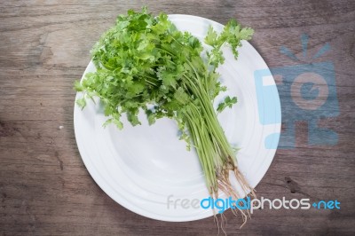 Coriander In White Ceramic Dish On Wooden Background,thai Tradition Herb And Vegetable Stock Photo