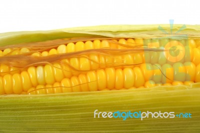 Corn Stock Photo