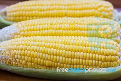 Corn Stock Photo