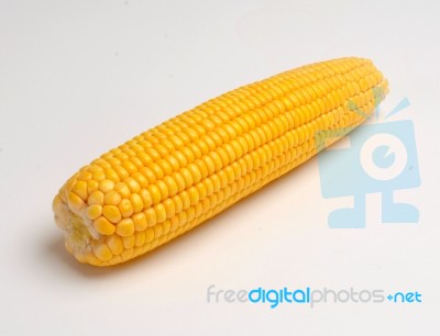 Corn Stock Photo