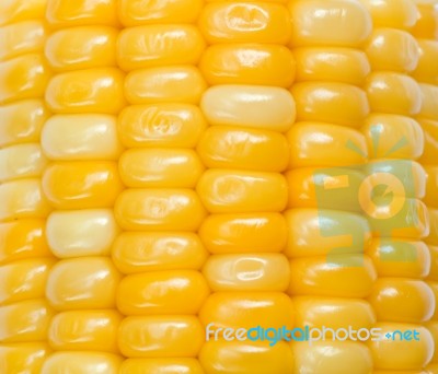 Corn Stock Photo