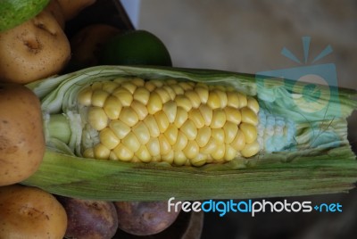 Corn Stock Photo