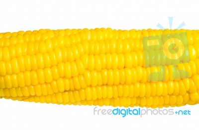 Corn Stock Photo