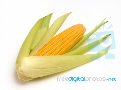 Corn And Leafs Stock Photo