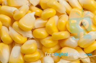 Corn Closeup Stock Photo