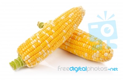 Corn Isolated On A White Background Stock Photo