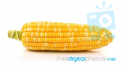 Corn Isolated On A White Background Stock Photo