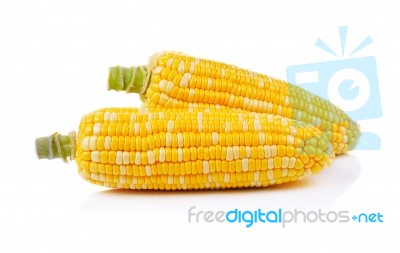 Corn Isolated On A White Background Stock Photo