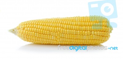 Corn Isolated On White Background Stock Photo