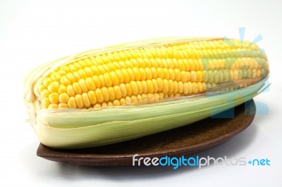 Corn On White Background Stock Photo