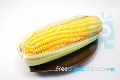 Corn On White Background Stock Photo