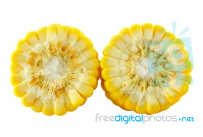 Corn On White Background Stock Photo