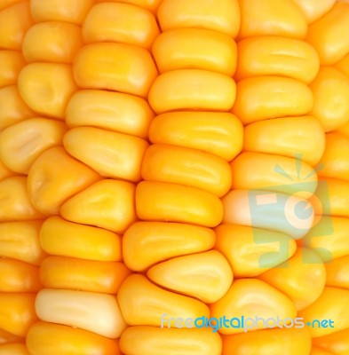 Corn Seeds Stock Photo