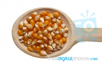 Corn Seeds On Wooden Spoon Stock Photo