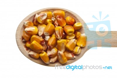 Corn Seeds On Wooden Spoon Stock Photo