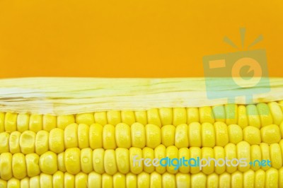 Corn With Copyspace Stock Photo