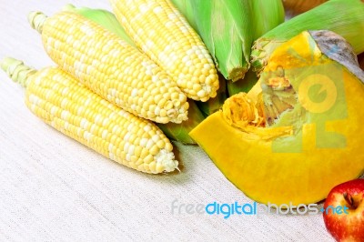 Corn With Pumpkin Stock Photo