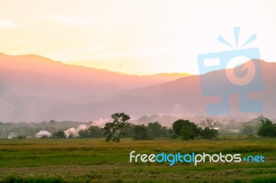 Cornfield With Farmland At Sunset Stock Photo