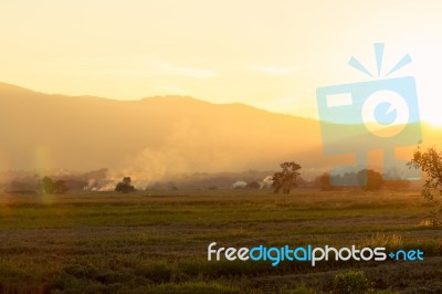 Cornfield With Farmland At Sunset Stock Photo