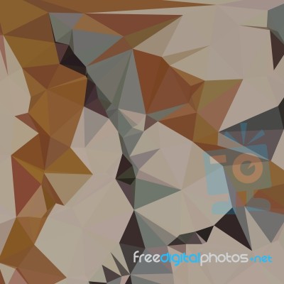 Cornsilk Brown Abstract Low Polygon Background Stock Image