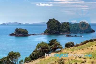 Coromandel Coastline Stock Photo