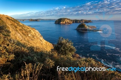 Coromandel Coastline Stock Photo