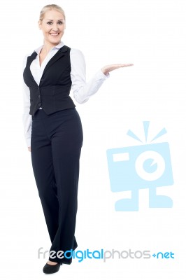 Corporate Lady Promoting Business Product Stock Photo