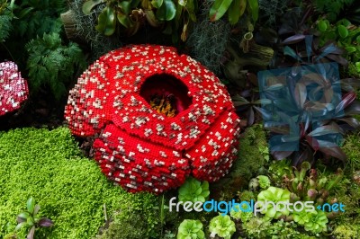 Corpse Flower Is Made Of Interlocking Plastic Bricks Toy. Corpse Flower Is The Largest Individual Flower On Earth. Stinking Corpse Lily. Scientific Name Is Rafflesia Arnoldii, Rafflesia Kerrii Stock Photo