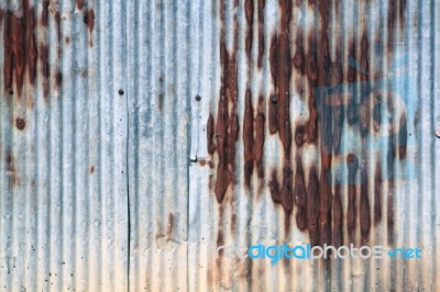 Corrugated Iron  Stock Photo