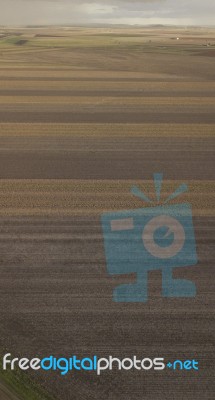 Cotton Field In The Countryside Stock Photo