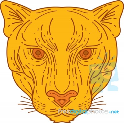 Cougar Mountain Lion Head Mono Line Stock Image