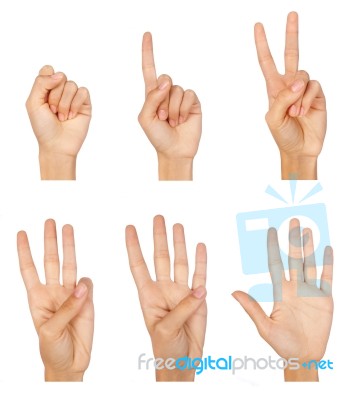 Counting Hands Stock Photo