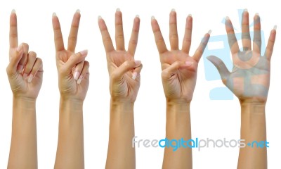 Counting Woman Hands Stock Photo