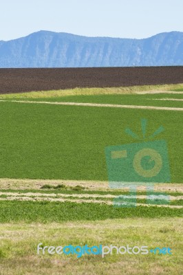 Country Agricultural And Farming Field Stock Photo