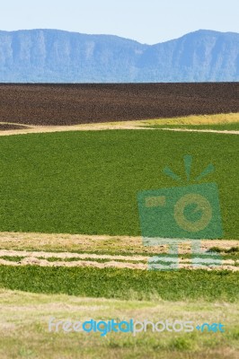 Country Agricultural And Farming Field Stock Photo