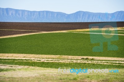 Country Agricultural And Farming Field Stock Photo