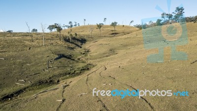 Country Agricultural And Farming Field Stock Photo