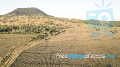 Country Agricultural And Farming Field Stock Photo